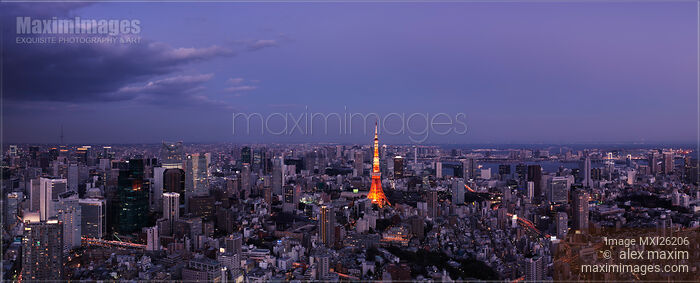Stock photo of Panoramic twilight scenery of Tokyo tower and cityscape Buy commercial use license at MaximImages