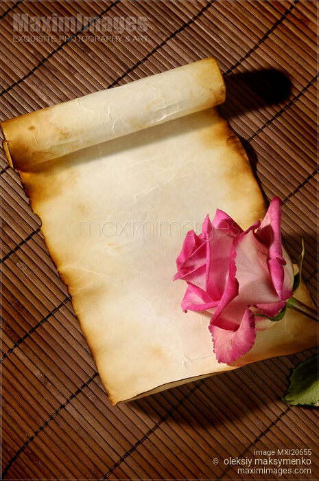 Stock photo of Parchment paper background with rose Buy commercial use license at MaximImages