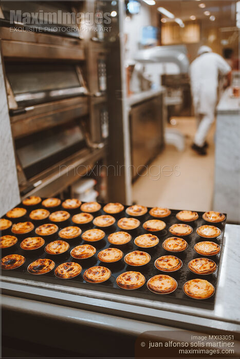 Stock photo of Pasteis de Nata traditional Portuguese custard tarts on a tray in a cafe Buy commercial use license at MaximImages