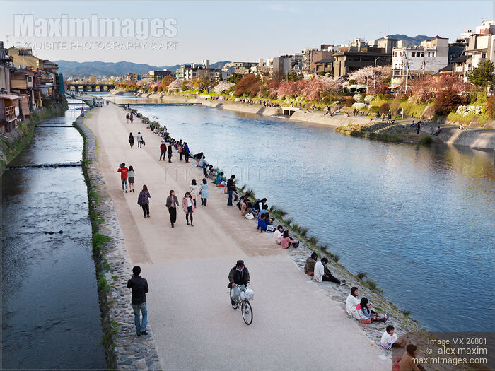 Stock photo of Pathway along Kamo River in Kyoto Buy commercial use license at MaximImages