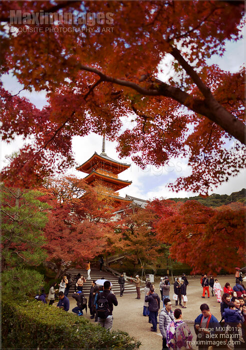 People at Kiyomizu-dera with Sanjunoto pagoda in autumn scenery Stock photo of People at Kiyomizu-dera with Sanjunoto pagoda in autumn scenery Buy commercial use license at MaximImages