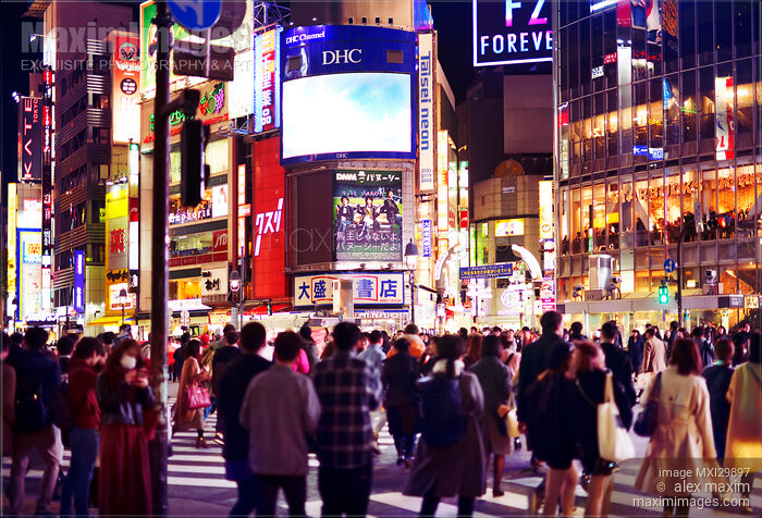 People crossing busy Shibuya interesection at night Shibuya station Tokyo Japan Stock photo of People crossing busy Shibuya interesection at night Shibuya station Tokyo Japan Buy commercial use license at MaximImages