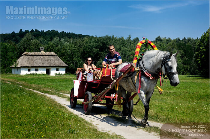 People in a Horse and Carriage Ride in Countryside Stock photo of People in a Horse and Carriage Ride in Countryside Buy commercial use license at MaximImages