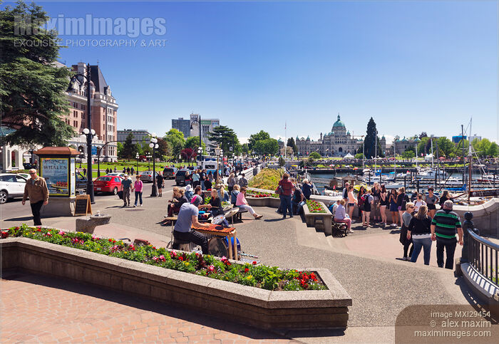 Stock photo of People in downtown Victoria BC by the harbour front Buy commercial use license at MaximImages