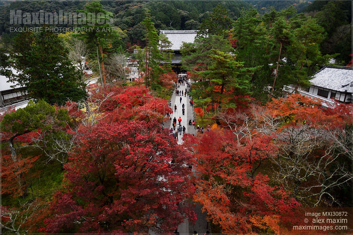 Stock photo of People walking to the Hatto hall of Nanzen-ji Zen Buddhist temple in Kyoto autumn scenery Buy commercial use license at MaximImages