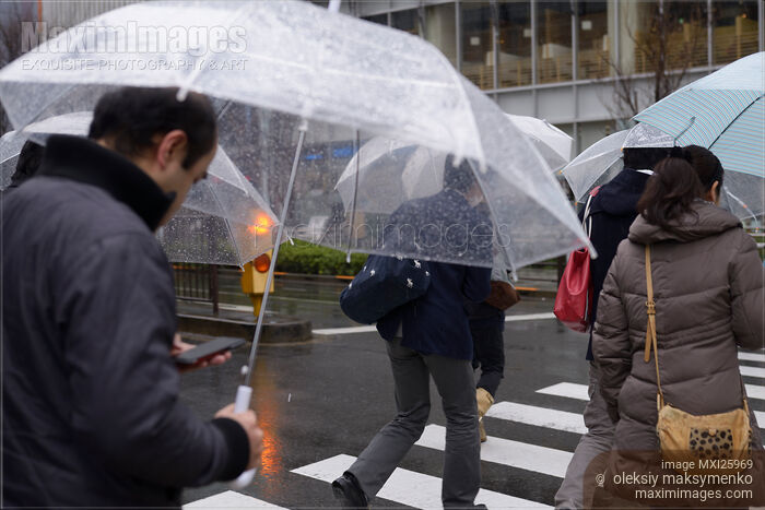 People with umbrellas crossing street in rain Stock photo of People with umbrellas crossing street in rain Buy commercial use license at MaximImages