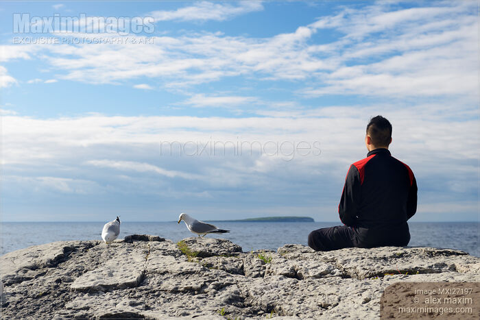 Stock photo of Person meditating on a shore of a lake with seagulls Buy commercial use license at MaximImages