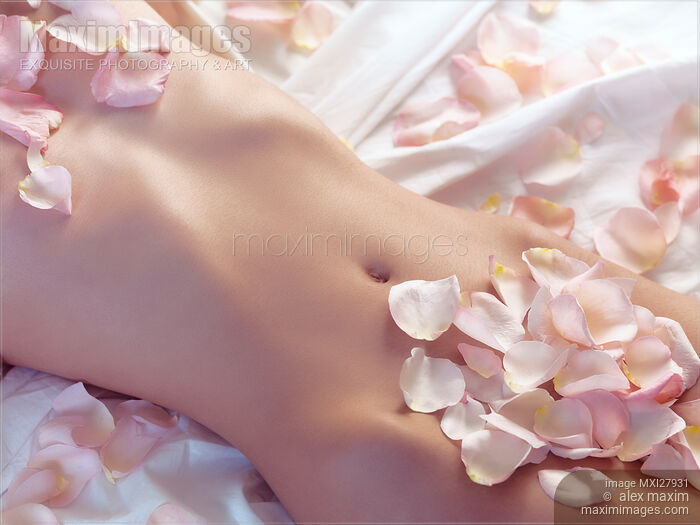 Stock photo of Pink rose petals on nude woman body Buy commercial use license at MaximImages