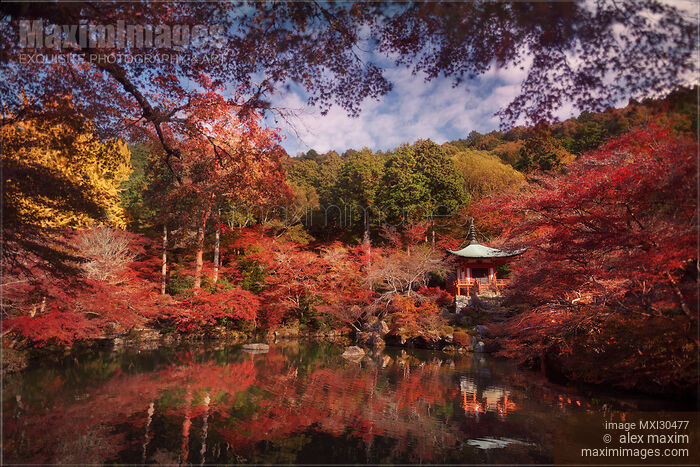 Pond in front of Bentendo Hall in a beautiful colorful autumn scenery at Daigo-ji temple Daigoji complex in Kyoto Stock photo of Pond in front of Bentendo Hall in a beautiful colorful autumn scenery at Daigo-ji temple Daigoji complex in Kyoto Buy commercial use license at MaximImages