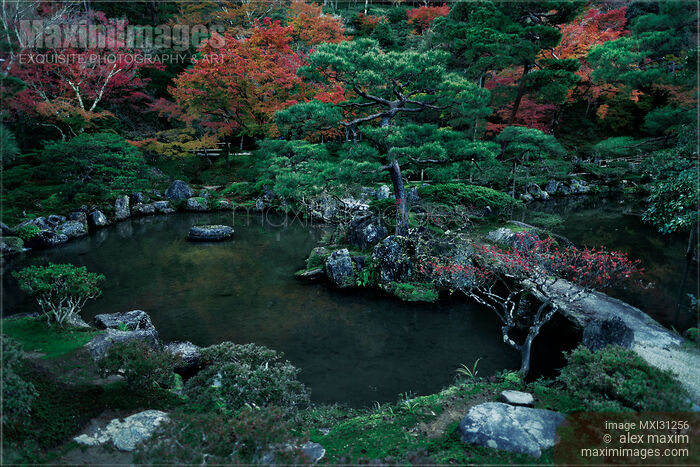 Stock photo of Pond with a bridge and a black pine tree in a Japanese Zen garden at Ginkaku-ji Temple of the Silver Pavilion Buy commercial use license at MaximImages