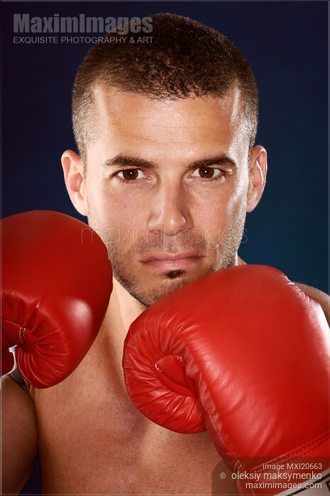 Portrait of a boxer Stock photo of Portrait of a boxer Buy commercial use license at MaximImages