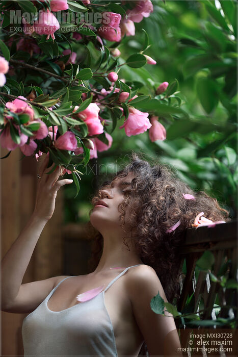 Stock photo of Portrait of a woman standing under a beautiful blooming camellia tree touching its pink flowers Buy commercial use license at MaximImages