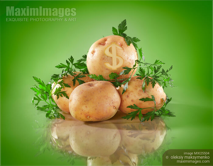 Potatoes still life produce price concept Stock photo of Potatoes still life produce price concept Buy commercial use license at MaximImages