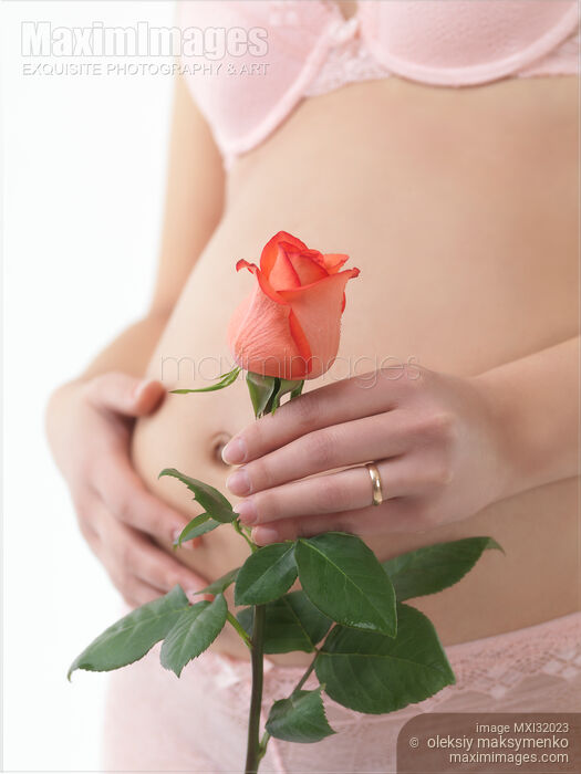 Pregnant Woman Holding a Red Rose Stock photo of Pregnant Woman Holding a Red Rose Buy commercial use license at MaximImages