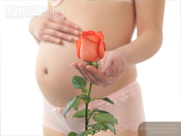 Stock photo of Pregnant Woman Holding a Red Rose Buy commercial use license at MaximImages
