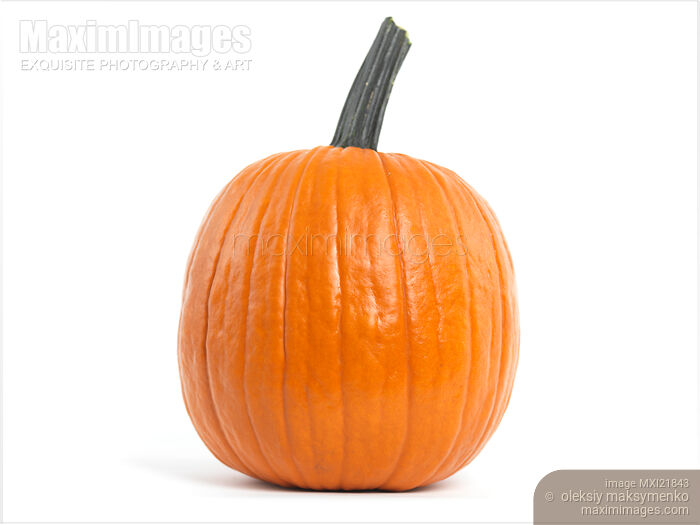 Stock photo of Pumpkin Buy commercial use license at MaximImages