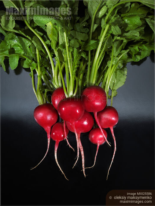 Stock photo of Radishes food still life Buy commercial use license at MaximImages