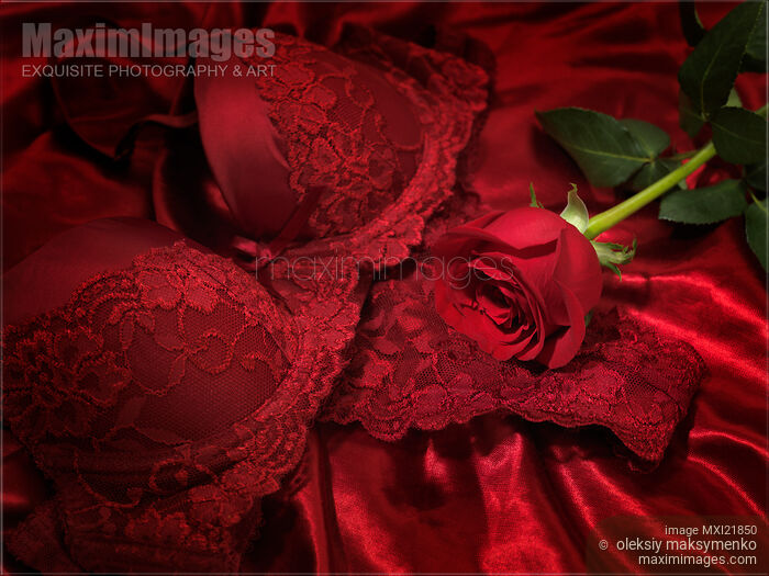 Stock photo of Red Rose and Lingerie Buy commercial use license at MaximImages