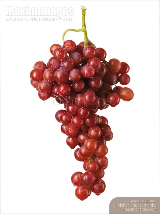 Stock photo of Red Seedless Grapes Buy commercial use license at MaximImages