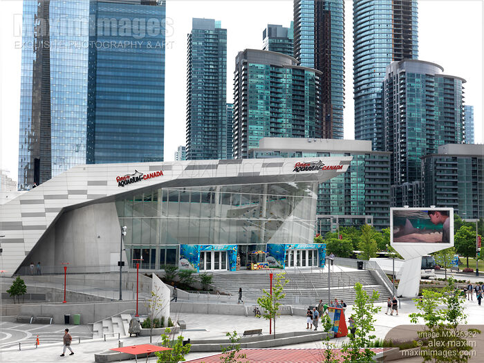 Stock photo of Ripleys Aquarium of Canada in Toronto Buy commercial use license at MaximImages
