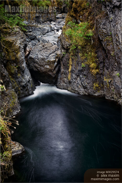 Stock photo of River nature scenery at Englishman River Falls Provincial Park on Vancouver Island Buy commercial use license at MaximImages