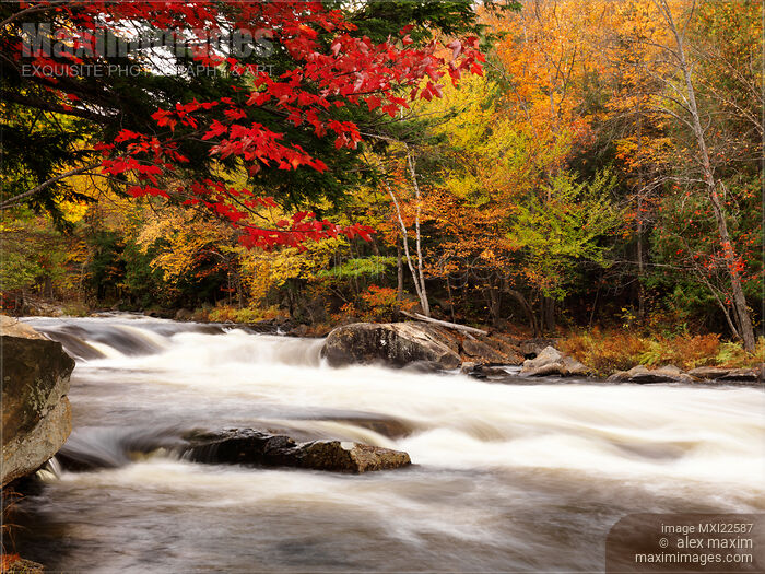 River Rapids Fall Nature Scenery Stock photo of River Rapids Fall Nature Scenery Buy commercial use license at MaximImages