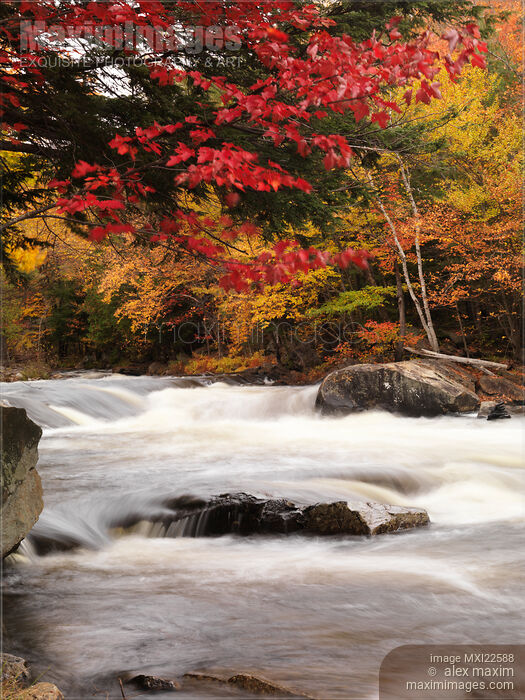 Stock photo of River Rapids Fall Nature Scenery Buy commercial use license at MaximImages