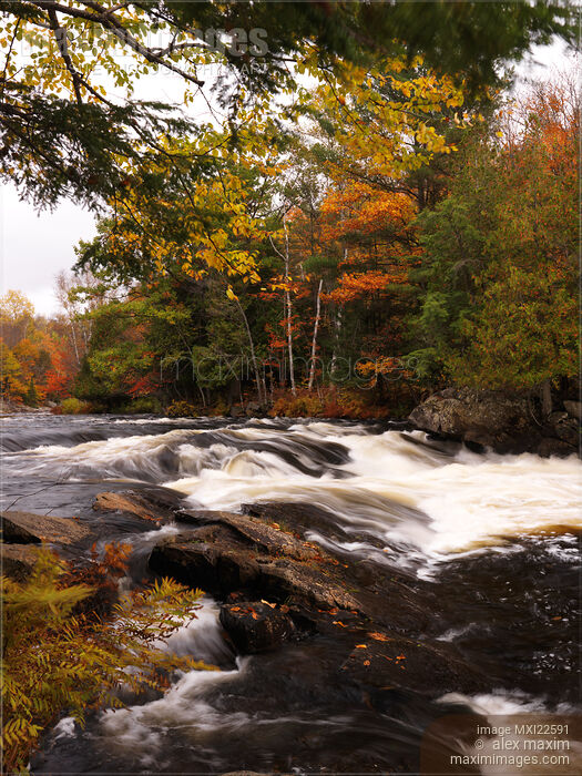 Stock photo of River Rapids Fall Nature Scenery Buy commercial use license at MaximImages