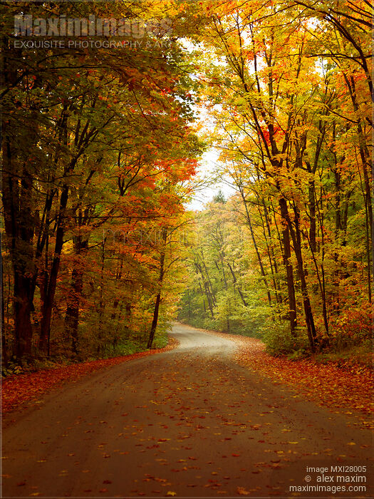 Road Through Colorful Fall Scenery Stock photo of Road Through Colorful Fall Scenery Buy commercial use license at MaximImages