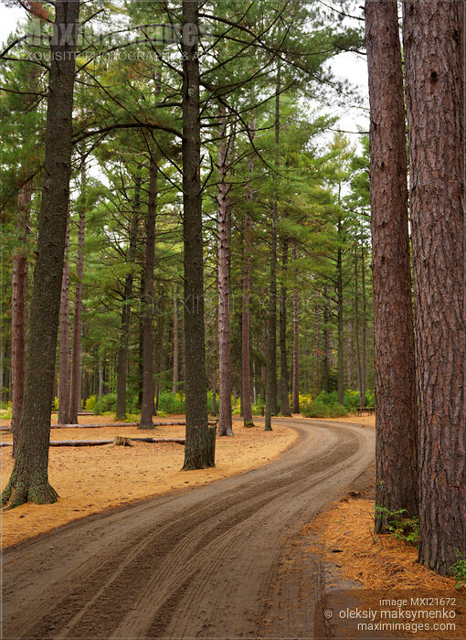 Road Through Fall Scenery Stock photo of Road Through Fall Scenery Buy commercial use license at MaximImages
