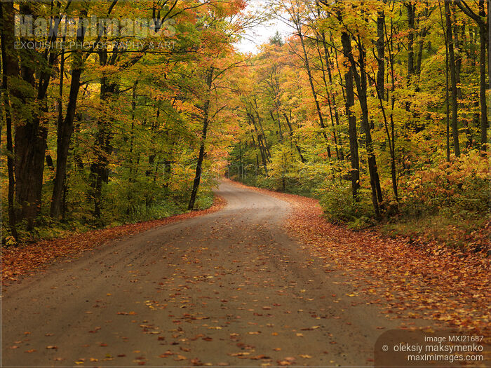 Road Through Fall Scenery Stock photo of Road Through Fall Scenery Buy commercial use license at MaximImages