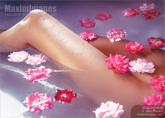 Romantic closeup of bare woman legs in a bath with pink roses floating in water Stock photo of Romantic closeup of bare woman legs in a bath with pink roses floating in water Buy commercial use license at MaximImages