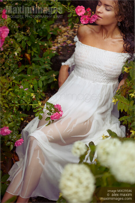 Stock photo of Romantic sensual photo of a beautiful woman in wet dress lying under a rose bush Buy commercial use license at MaximImages
