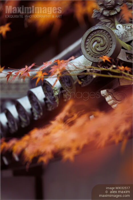 Stock photo of Roof eaves decorated with Kawara Japanese clay roofing tiles Zen Buddhist temple detail in autumn scenery Buy commercial use license at MaximImages