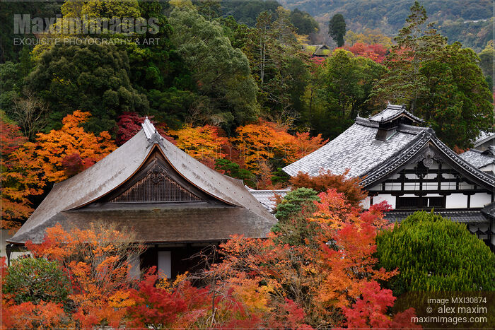 Stock photo of Roofs of Nanzen-ji temple buildings in colorful autumn scenery in Kyoto Buy commercial use license at MaximImages