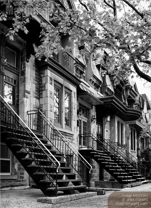 Stock photo of Row of historic townhouses on Avenue Laval in Montreal Black and white Buy commercial use license at MaximImages