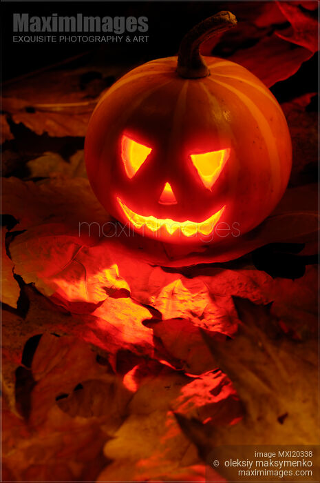 Stock photo of Scary Jack-o-lantern Illuminated From Inside Buy commercial use license at MaximImages