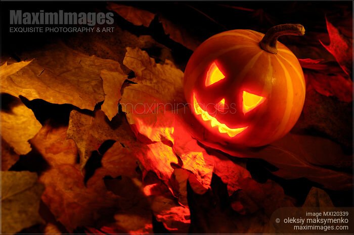 Stock photo of Scary Jack-o-lantern Illuminated From Inside on Autumn Leaves Buy commercial use license at MaximImages