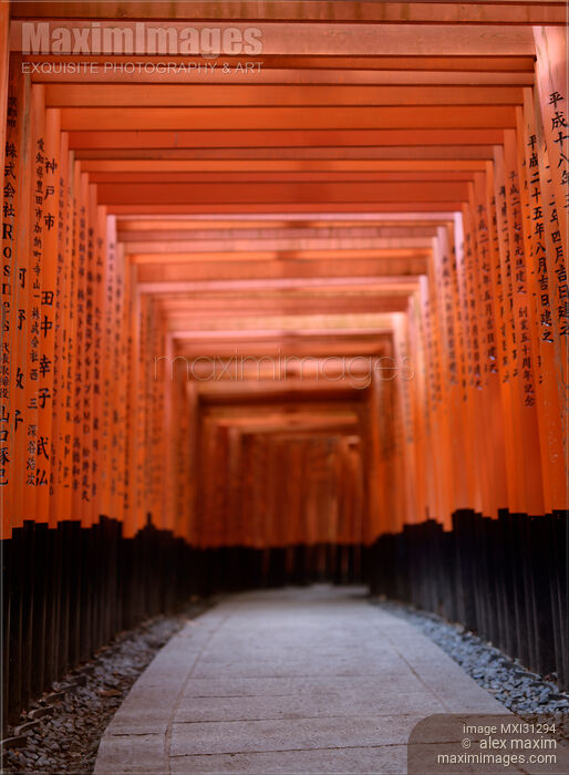 Stock photo of Senbon torii passage at Fushimi Inari shrine in Kyoto Buy commercial use license at MaximImages