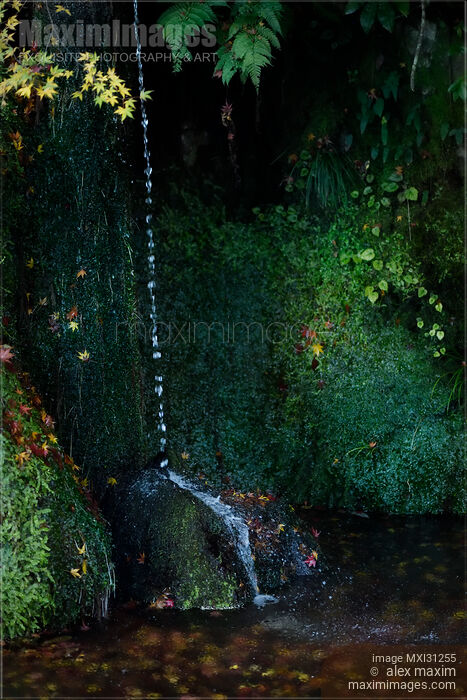 Stock photo of Sengetsusen small waterfall in Ginkaku-ji Temple Zen garden Buy commercial use license at MaximImages