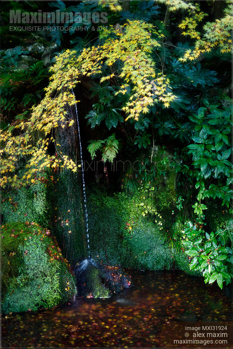 Sengetsusen small waterfall in Ginkaku-ji Temple Zen garden nature scenery Stock photo of Sengetsusen small waterfall in Ginkaku-ji Temple Zen garden nature scenery Buy commercial use license at MaximImages