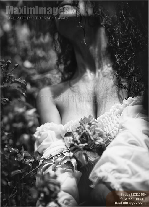 Sensual artistic black and white photo of beautiful woman with pink roses in wet dress under a rain Stock photo of Sensual artistic black and white photo of beautiful woman with pink roses in wet dress under a rain Buy commercial use license at MaximImages
