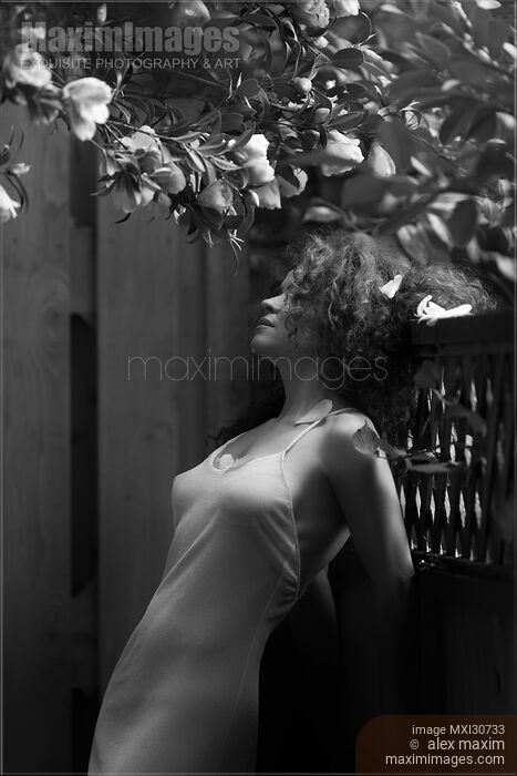 Stock photo of Sensual black and white portrait of a young woman in a light dress standing under a blooming camellia tree with fallen flower petals in her hair Buy commercial use license at MaximImages