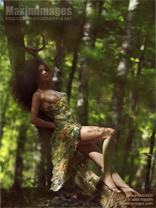 Stock photo of Sensual erotic portrait of a beautiful half nude sexy young woman lying on a leaning tree trunk Buy commercial use license at MaximImages