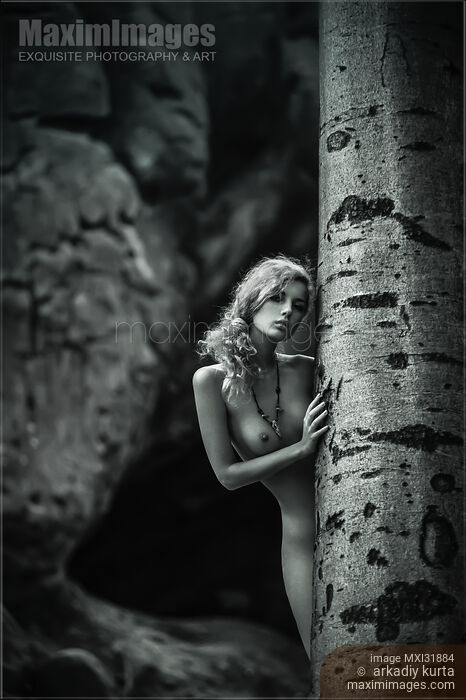 Sensual fine art black and white nude of a young girl in the forest Stock photo of Sensual fine art black and white nude of a young girl in the forest Buy commercial use license at MaximImages