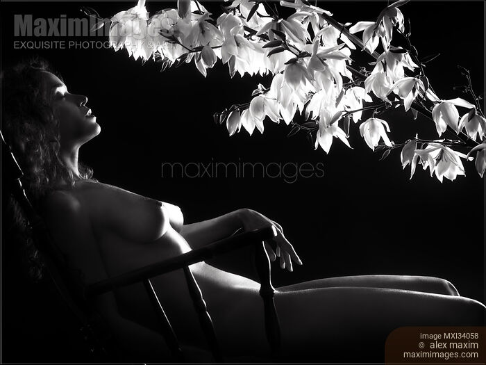 Sensual nude black and white portrait of a beautiful naked sexy young woman reclining relaxed in a chair under white flowers Stock photo of Sensual nude black and white portrait of a beautiful naked sexy young woman reclining relaxed in a chair under white flowers Buy commercial use license at MaximImages