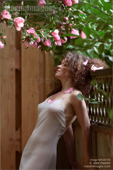 Stock photo of Sensual portrait of a beautiful woman leaning against a garden fence under a blooming camellia pink flowers Buy commercial use license at MaximImages