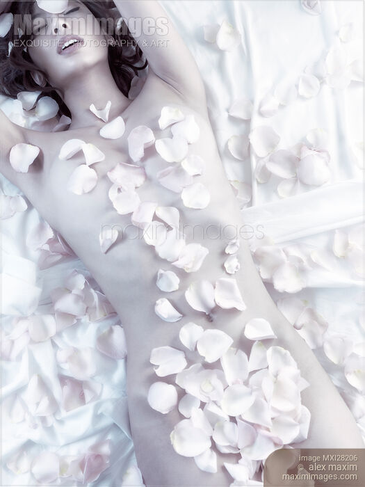 Sensual portrait of beautiful nude asian woman covered with rose petals Stock photo of Sensual portrait of beautiful nude asian woman covered with rose petals Buy commercial use license at MaximImages