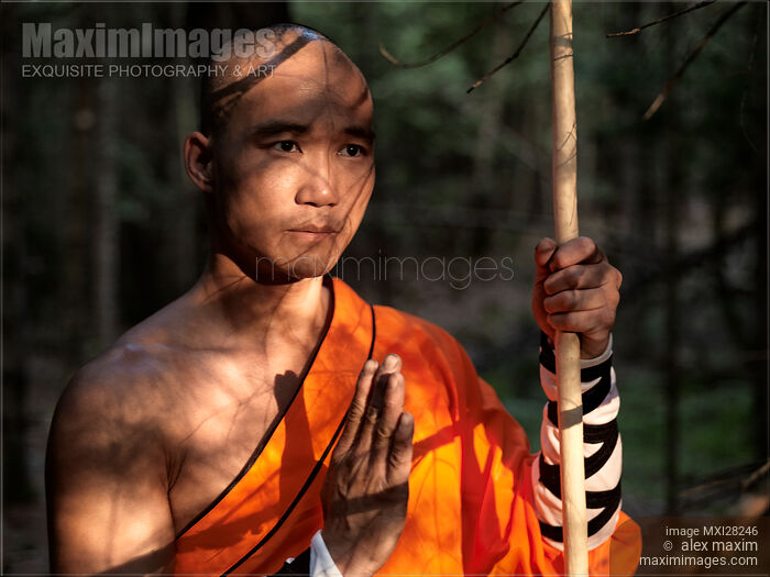 Shaolin warrior monk in a forest Stock photo of Shaolin warrior monk in a forest Buy commercial use license at MaximImages