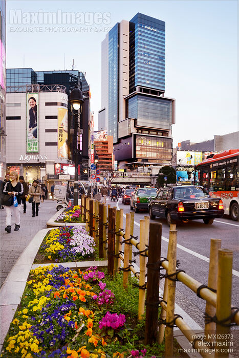Stock photo of Shibuya station intersection in Tokyo Buy commercial use license at MaximImages